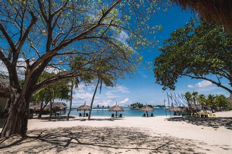12 Best Beach Resorts In Lapu.